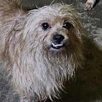 Thumbnail photo of RED #1