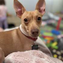 Thumbnail photo of Sage #1