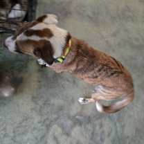 Thumbnail photo of Sally #2