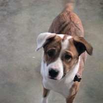 Thumbnail photo of Sally #3