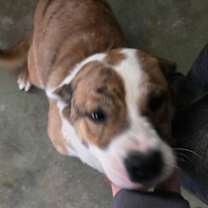 Thumbnail photo of Sally #4