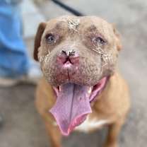 Thumbnail photo of MARCY #4