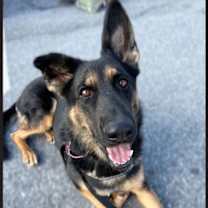 Thumbnail photo of Rainey #1