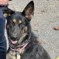 Thumbnail photo of Rainey #2