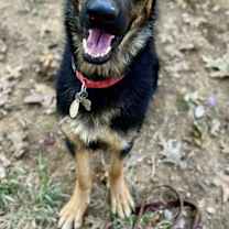 Thumbnail photo of Rainey #4