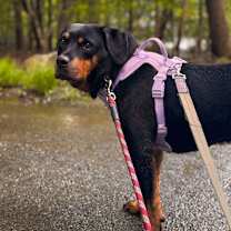 Thumbnail photo of Tessa #1