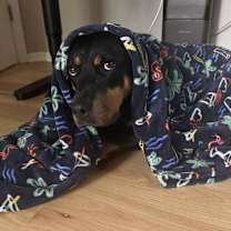 Thumbnail photo of Tessa #2