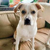 Thumbnail photo of Ranger #1