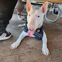 Thumbnail photo of Terri #3