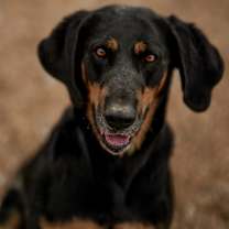 Thumbnail photo of Jayne #1