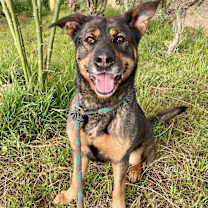 Thumbnail photo of Shelly #3