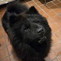 Thumbnail photo of Annie Okey #2