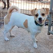 Thumbnail photo of Pinta #3