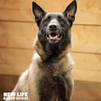 Thumbnail photo of Kano #1