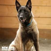 Thumbnail photo of Kano #2