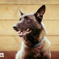 Thumbnail photo of Kano #3