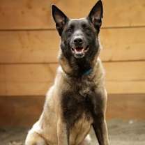 Thumbnail photo of Kano #4