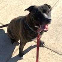 Thumbnail photo of Kash #2