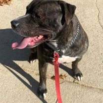 Thumbnail photo of Kash #3