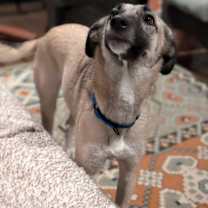 Thumbnail photo of Ella #3