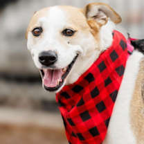 Thumbnail photo of Dolores #3