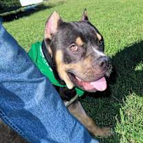 Thumbnail photo of Hoss #2