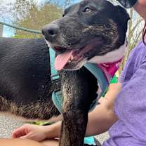 Thumbnail photo of Evita #2