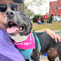 Thumbnail photo of Evita #3