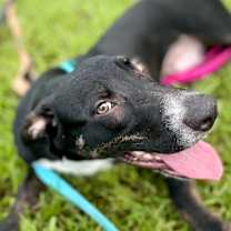 Thumbnail photo of Evita #4