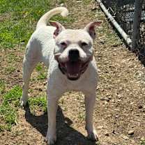 Thumbnail photo of Vada #1