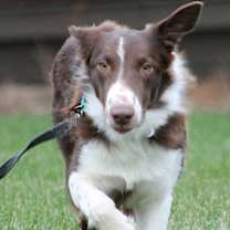 Thumbnail photo of Easton #1