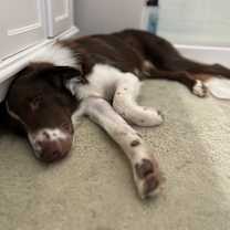 Thumbnail photo of Easton #3