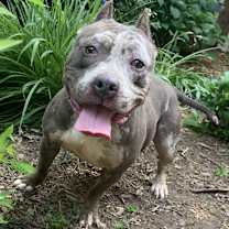 Thumbnail photo of Low Rider Laura #1