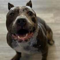 Thumbnail photo of Low Rider Laura #2