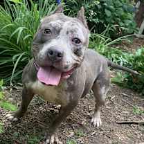 Thumbnail photo of Low Rider Laura #3