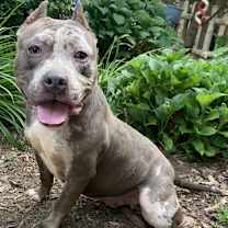 Thumbnail photo of Low Rider Laura #4