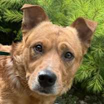 Thumbnail photo of Stub Hub Stewie #1