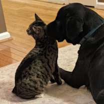 Thumbnail photo of BMO #2