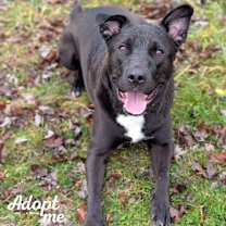 Thumbnail photo of Thunder #3