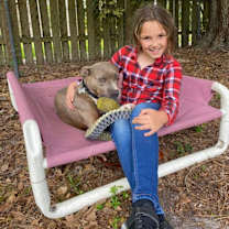 Thumbnail photo of Olive #3