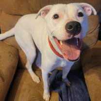 Thumbnail photo of McLovin #2