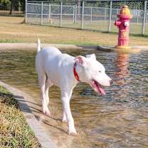 Thumbnail photo of McLovin #3