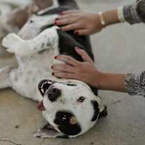 Thumbnail photo of Tilly #3