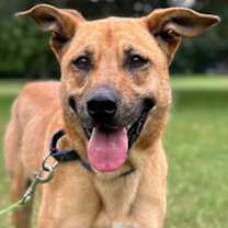 Thumbnail photo of Brooke #1