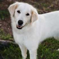 Thumbnail photo of Leah #2