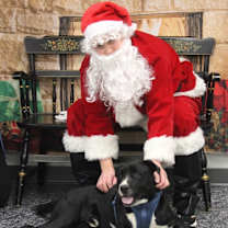 Thumbnail photo of Bullet (Buckmaster) #3