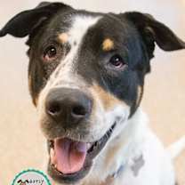 Thumbnail photo of Bolton #1