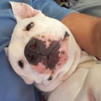 Thumbnail photo of Talli #3