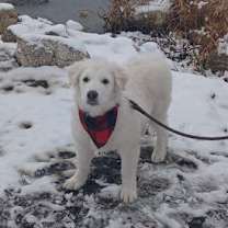 Thumbnail photo of Mr Yuki #2