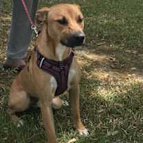 Thumbnail photo of Sissy #1